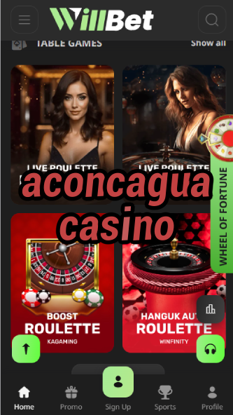 Aconcagua Casino - Argentina's Mountain Casino-casinoorder.vip